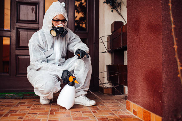 Reliable Ant Control contractor in Lukachukai, AZ by Show Me Pest Control