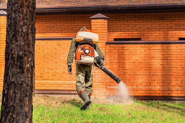 Top rated local Ant Control specialists in Lukachukai, AZ